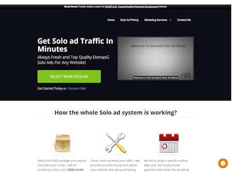 Screenshot of solo ad seller's website