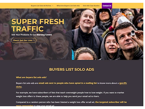 Featured Solo Ads Seller: Super Fresh Traffic